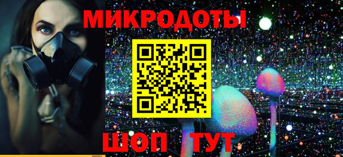 Галлюциногенные грибы Psilocybe  Вход с VPN  Галлюциногенные грибы Cubensis  как найти закладки  Ейск 